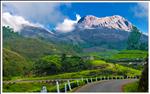 Munnar - Good Morning